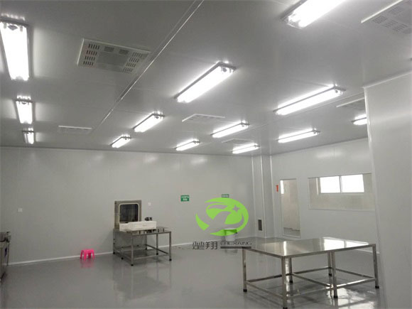 郴州福鵝食品成人免费黄片视频車間裝修工程(圖4)